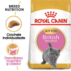 Royal Canin British Shorthair Kitten hrana uscata pisica junior, 400 g (251950)