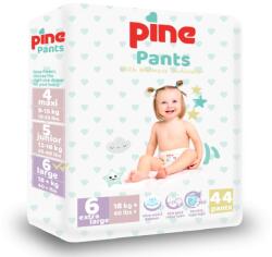 Pine Scutece tip chilot Pants, 6 Extra Large, +18 kg, 44 bucati, Pine