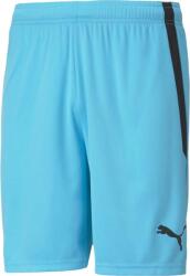 PUMA Sorturi Puma teamLIGA Shorts 70492440 Marime XL (70492440)