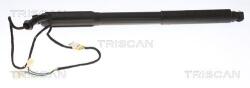 TRISCAN Amortizor portbagaj TRISCAN 8710 11304 (8710 11304)