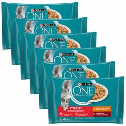 ONE Sterilcat chicken & beef in sauce 24x85 g