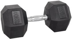 inSPORTline Gantera hexagonala inSPORTline 40 Kg (22098)