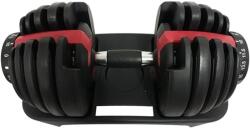 Dayu Fitness Gantera reglabila Dayu Fitness 2.5-24 Kg (DY-DB-650-24kg)