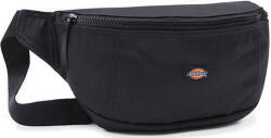 Dickies Blanchard Magazin online pentru bărbați Bum Bag pentru Talie Negru DK0A4X8QBLK (DK0A4X8QBLK)