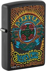 Zippo Brichetă Zippo 48742 Santa Cruz Skateboards (48742)