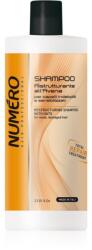 Brelil Restructuring Shampoo Sampon restructurare 1000 ml