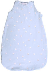 Lorelli Sac de dormit, primavara/vara, pentru copii cu inaltimea maxima de 95 cm, Train Blue (20810356002)