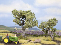  Noch Olajfa - 6 és 9 cm (21995) (21995)