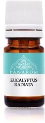 Panarom Keskenylevelű eukaliptusz (eukaliptusz radiata( - 10 ml