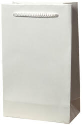 Paper Craft SET 10 pungi de cadou uni MICI ALBE