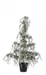 Bizzotto Brad artificial in ghiveci Christmas 50x120 cm (0939851)