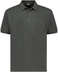 ADAMO cămașă polo pentru bărbați 139311 oversize Verde inchis 4XL