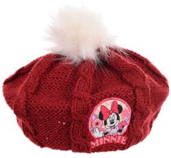 Kids movie heroes Шапка minnie - sportdepot - 28,91 лв