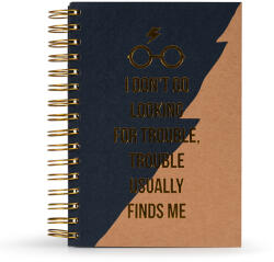 Pyramid International Harry Potter jegyzetfüzet - Trouble usually finds me