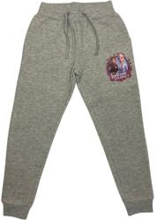 Setino Lányos melegítő - Jégvarázs szürke Méret - gyermek: 140