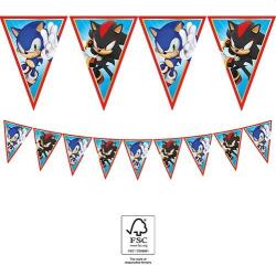 Procos Banner - Sonic