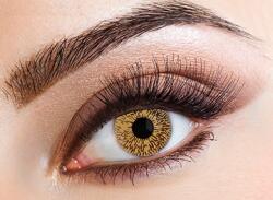 Eyecasions Havi kontaktlencse - Hazel Tint
