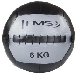HMS Wall Ball HMS WLB 6 kg (ABI-17-41-026)