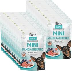 Brit Brit Care Mini filé lazac- és heringmártásban 24x85g