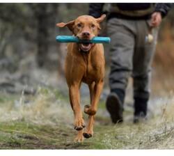 Ruffwear Gnawt-a-Stick kutyajáték Red Sumac piros
