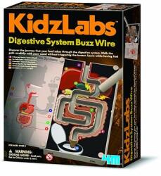 4M Sistemul digestiv 4M KidzLabs (M4603386)