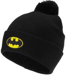 Warner Bros. Interactive BATMAN POMPOM HAT Copii (191716)