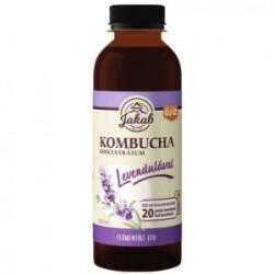  Kombucha tea koncentrátum levendulával 500 ml - menteskereso