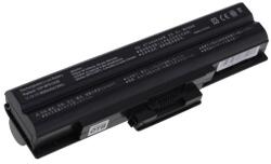 VHBW Baterie pentru Sony Vaio VGP-BPS13 / VGP-BPS21, negru, 6600 mAh (BW800103887)
