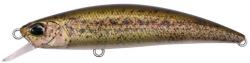 Duo SPEARHEAD RYUKI 70F 7cm 5.3gr CCCZ214 RP Loach (DUO71247) - plazaweb