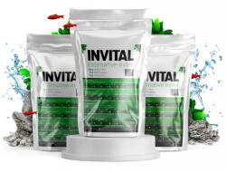INVITAL Index Estimativ (in13)