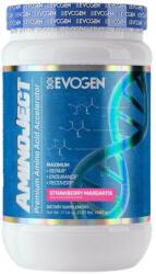 Evogen Nutrition AminoJect | Premium Amino Acid Formula [470 грама] Ягодова маргарита