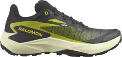 Salomon GENESIS Terepfutó cipők l47443100 Méret 42, 7 EU