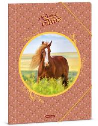 Ars Una My Sweet Horse lovas gumis mappa - A4 (50213580)
