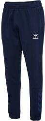 Hummel Pantaloni Hummel HMLTRAVEL SWEAT PANTS 220306-7026 Marime L