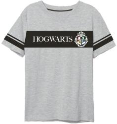 EPlus Férfi póló Harry Potter - Roxfort szürke Méret - felnőtt: S