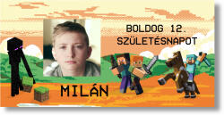 Personal Születésnapi banner fényképpel - Minecraft Banner mérete: 130 x 260 cm