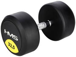 HMS Gantera fixa HMS HG PRO 32.5Kg (17-66-164)