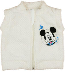 Asti Disney Mickey fiú wellsoft mellény