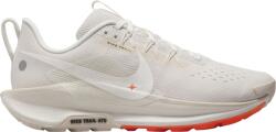 Nike Pegasus Trail 5 Terepfutó cipők dv3865-003 Méret 39 EU