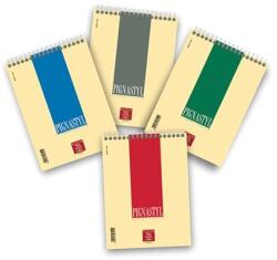 Pigna Jegyzetfüzet A/5 sima felül spirálos Pignastyl 60 lapos (02156271R)