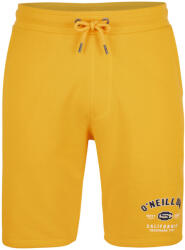 O'Neill Short State Jogger Short férfi