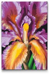  Festés számok szerint - Írisz Méret: 20x30cm, Keretezés: Keret nélkül (csak a vászon)