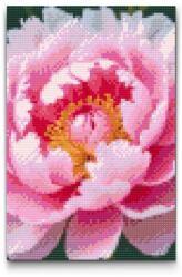  Gyémántszemes kirakó - Bazsarózsa Méret: 40x60cm, Keretezés: Keret nélkül (csak a vászon), Gyémántok: Kerek