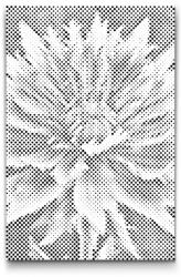  PontPöttyöző - Búzavirág Méret: 40x60cm, Keretezés: Kartonlemezen, Szín: Kék