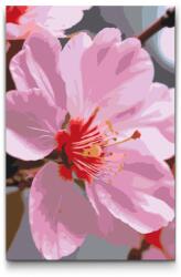  Festés számok szerint - Cseresznyevirág Méret: 20x30cm, Keretezés: Keret nélkül (csak a vászon)