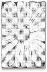  PontPöttyöző - Százszorszép Méret: 20x30cm, Keretezés: Kartonlemezen, Szín: Piros