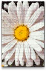  Gyémántszemes kirakó - Százszorszép Méret: 40x60cm, Keretezés: Keret nélkül (csak a vászon), Gyémántok: Négyzet alakú