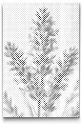  PontPöttyöző - Levendulavirág Méret: 40x60cm, Keretezés: Keret nélkül (csak a vászon), Szín: Fekete