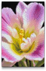  Gyémántszemes kirakó - Frézia Méret: 40x60cm, Keretezés: Keret nélkül (csak a vászon), Gyémántok: Négyzet alakú