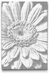  PontPöttyöző - Gerbera Méret: 40x60cm, Keretezés: Keret nélkül (csak a vászon), Szín: Fekete